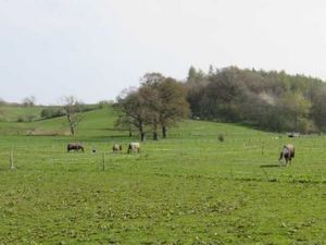 Supporting image for story: Gypsy family left 'without certainty of accommodation' after appeal for yard near Ellesmere is thrown out