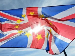 Supporting image for story: Laying blame for mess on someone else’s doorstep
