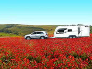 Supporting image for story: Work on £1m caravan park by Shropshire firm gets under way