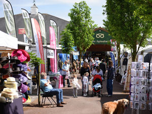 Supporting image for story: Shearers return and new wool competition introduced for this year’s Staffordshire County Show