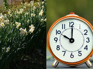 Supporting image for story: Date clocks spring forward and if your clocks will update automatically - why they change on a weekend