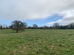 Supporting image for story: Land of interest to Shropshire farmers and investors to be sold by auction