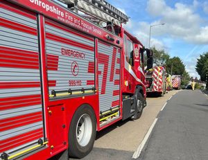 Supporting image for story: Cat rescue crew scrambled to second incident in two days