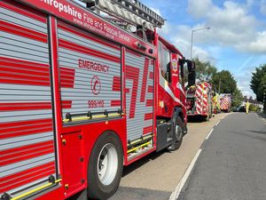 Supporting image for story: Cat rescue crew scrambled to second incident in two days