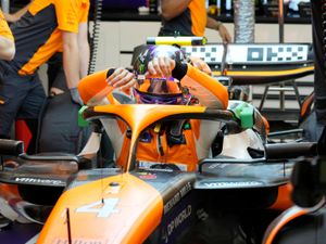 Supporting image for story: Lando Norris fastest as final Singapore practice disrupted by 3ft monitor lizard