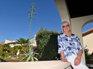 Supporting image for story: 'I never thought I'd live to see it' - Telford gardener's delight as 50-year-old plant flowers with rare 20ft bloom