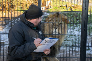 Every animal is counted, big and small, from the big cats to the tiny insects