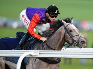 Supporting image for story: Saga just fails in quest for coronation day victory