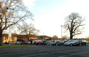 Supporting image for story