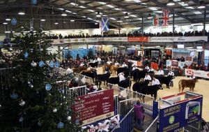 Your guide to making the most of Powys' Winter Fair
