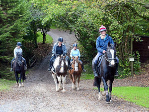 Supporting image for story: Gym bunnies turning to horse riding for fitness