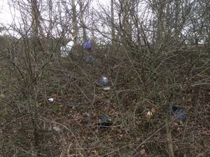Some of the litter seen near the A53 Hodnet bypass