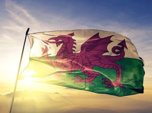 Supporting image for story: St David's Day 2020: Where to celebrate across Shropshire and the Midlands