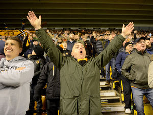 Supporting image for story: Wolves 2 Derby 0 - Find your face at Molineux