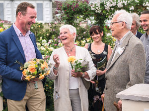 Supporting image for story: David Austin: Fond farewell to a master of his craft
