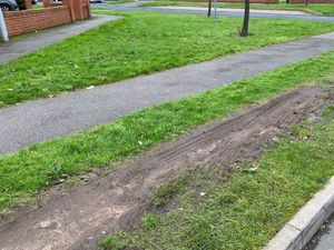 Supporting image for story: Spotlight on problems relating to grass verge parking