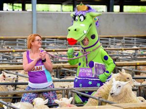 Supporting image for story: WATCH: Super Puffina put through paces at livestock market charity auction