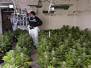 Supporting image for story: Police swoop at flat nets £150k in drugs