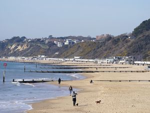 A view of a beach and the sea