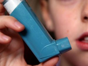 Supporting image for story: Shropshire health bosses offer advice about asthma attacks