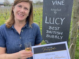 Supporting image for story: Why British wines are simply di-vine, and Shropshire's are top of the crop