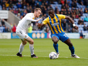 Supporting image for story: Steve Cotterill: Daniel Udoh deserves Shrewsbury applause