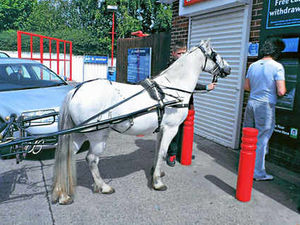 Supporting image for story: Only in the Black Country! Horse and trap visit the cashpoint