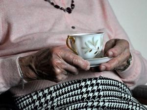 Supporting image for story: Vetted volunteers to be linked to those in need