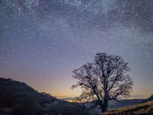 Supporting image for story: Could Kington become a dark sky area? Talks are ongoing