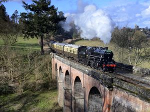 Supporting image for story: On track for jungle fun and food at Severn Valley Railway