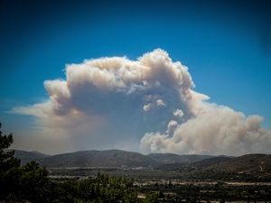 Supporting image for story: Greek fires ‘big warning’ for tourists to Mediterranean, says climate expert