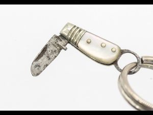 This is believed to be the world's smallest penknife.