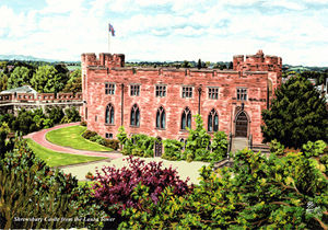 Some art that will be on display and for sale at the Winter Festival in Shrewsbury. Picture: Martin Rogers, Rogers Group.