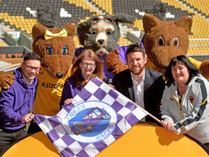 Supporting image for story: Wolverhampton soapbox derby announces headline charity partner