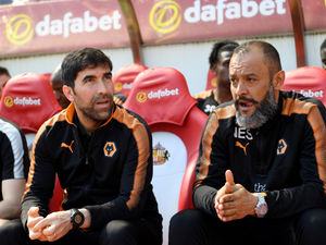 Supporting image for story: Defeat takes nothing away from Wolves says Nuno