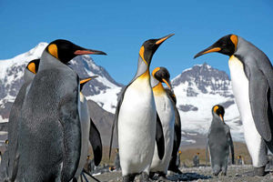 Another of Ben's photos that visitors to the museum will be able to see