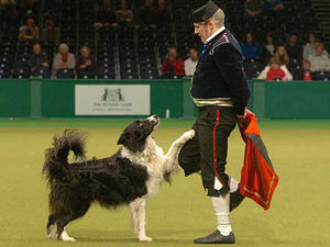 Supporting image for story: Crufts 2009 - pictures