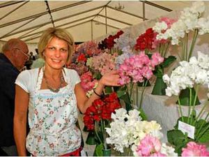 Supporting image for story: Thousands visit Wem Sweet Pea Show