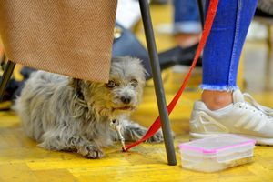Angel overseeing the rest of the cast