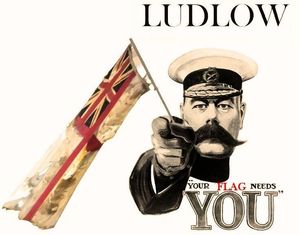 Help save our flag...