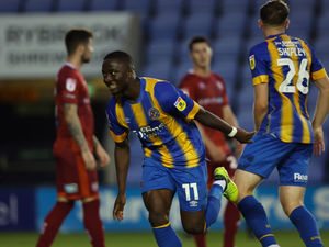 Supporting image for story: Wycombe vs Shrewsbury - Match Preview 