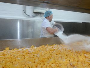 Supporting image for story: Cheesy does it, behind the scenes at Belton Farm