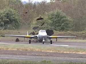 Supporting image for story: WATCH: Dramatic moment plane rips up runway at Wolverhampton Halfpenny Green Airport during take-off