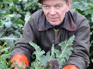 Supporting image for story: Mild winter leads to bumper crop of veg