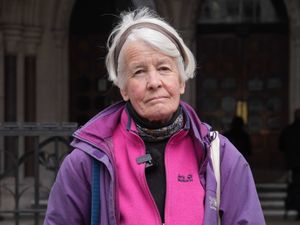 Supporting image for story: Solicitor General seeks approval to challenge ruling over climate protester