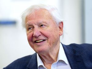 Supporting image for story: David Attenborough says he regrets not focusing on British wildlife programmes
