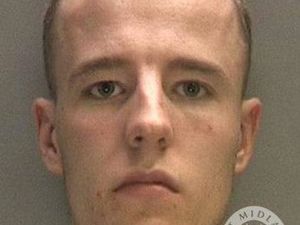 Supporting image for story: Car thief locked up after attack on member of public