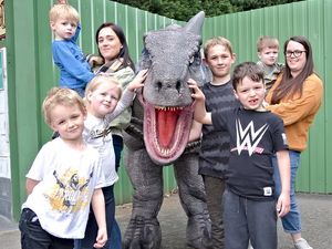 Supporting image for story: Roar-some dinosaur fun ahead at Statfold