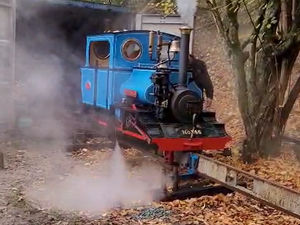 Supporting image for story: Families invited to Easter Egg Hunt at Tanat Valley Railway