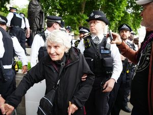 Supporting image for story: No age limit on law, says Met Police chief as 83-year-old arrested at protest